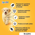 Hrana umeda conserva pentru caini Junior - pui in aspic (400 g), Pedigree