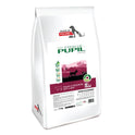 Hrana uscata pentru caini Pupil Premium vita - Junior Mini (10 kg), Pupil Foods 