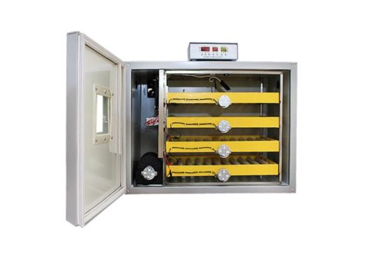 Incubator profesional 240 oua, Tehno Ms