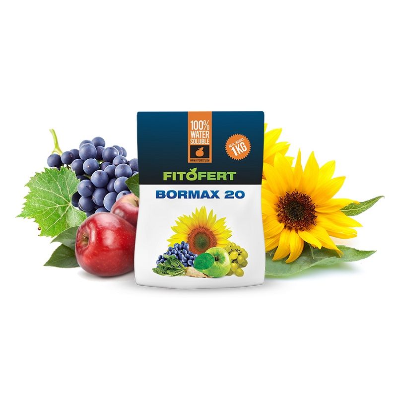 Ingrasamant foliar Bormax 20 (200 g), Fitofert
