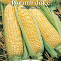 Seminte porumb zaharat (dulce) Golden Bantam, Prima Sementi