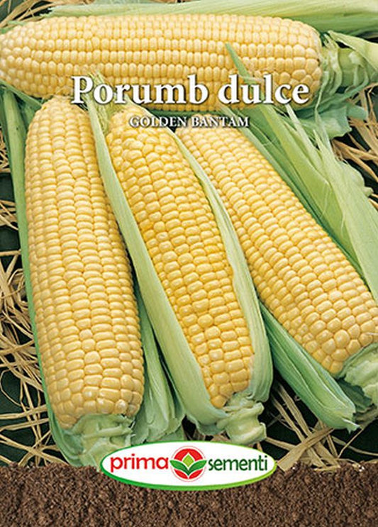 Seminte porumb zaharat (dulce) Golden Bantam, Prima Sementi