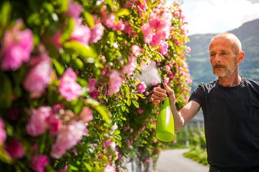 Pulverizator manual verde 1 l, Stocker 2899