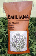 Samanta lucerna Emiliana inoculata cu rhizobium si micorize, Prima Sementi
