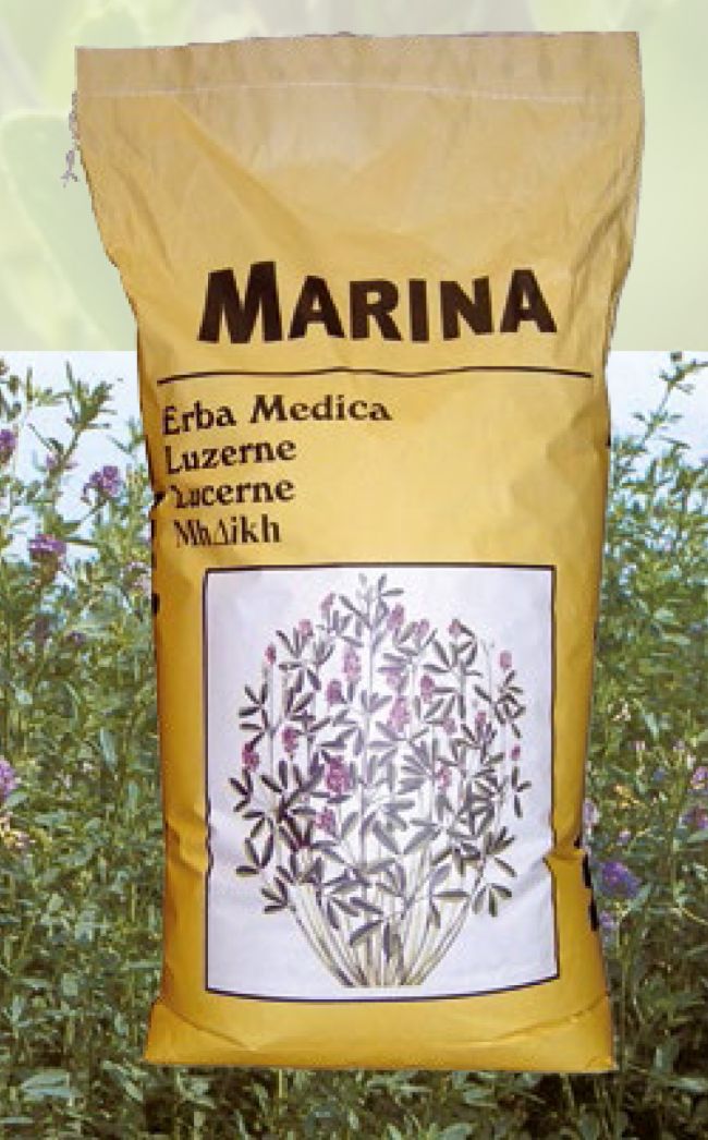 samanta-lucerna-pura--marina-25-kg-prima-sementi