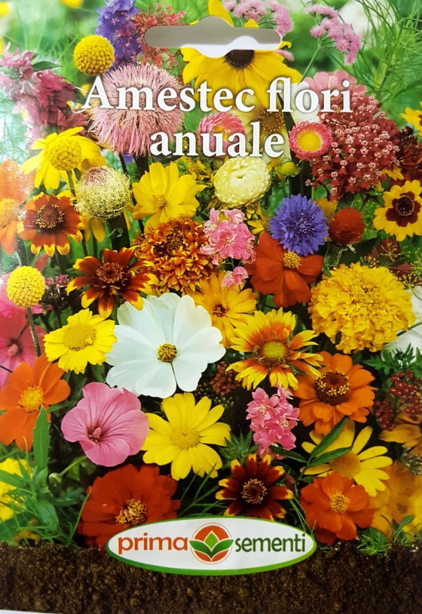 seminte-amestec-flori-anuale-mix-de-culori-prima-sementi
