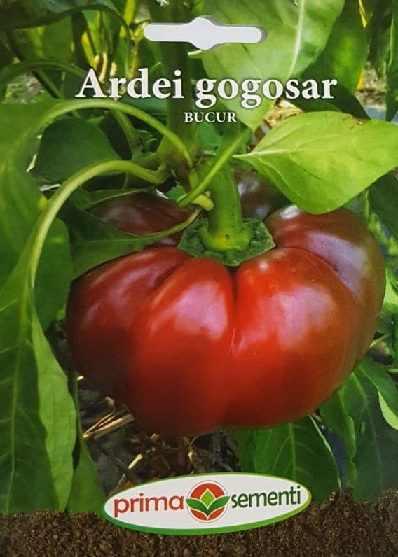 seminte-ardei-gogosar-bucur-prima-sementi