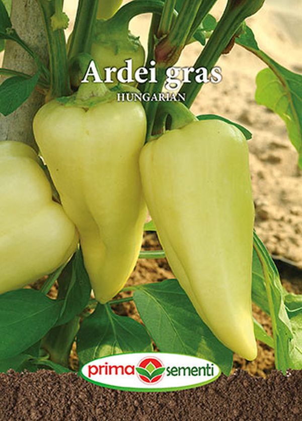 Seminte ardei gras Hungarian (1 g), Prima Sementi