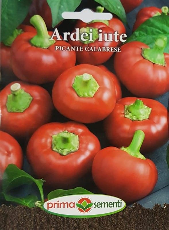 seminte-ardei-iute-picante-calabrese-prima-sementi