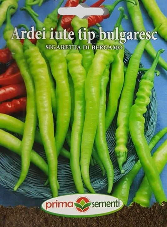 seminte-ardei-iute-sigaretta-di-bergamo-prima-sementi