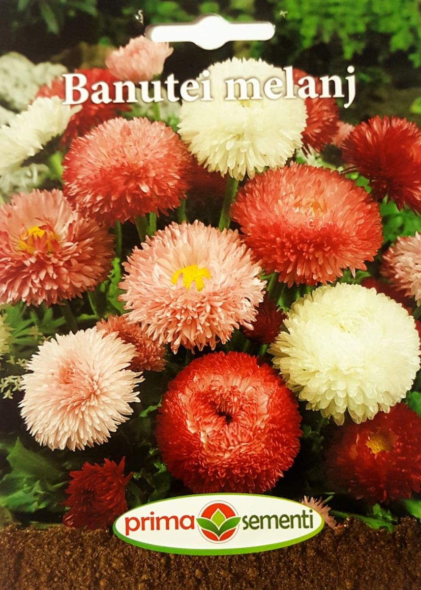 seminte-banutei-mix-de-culori-prima-sementi