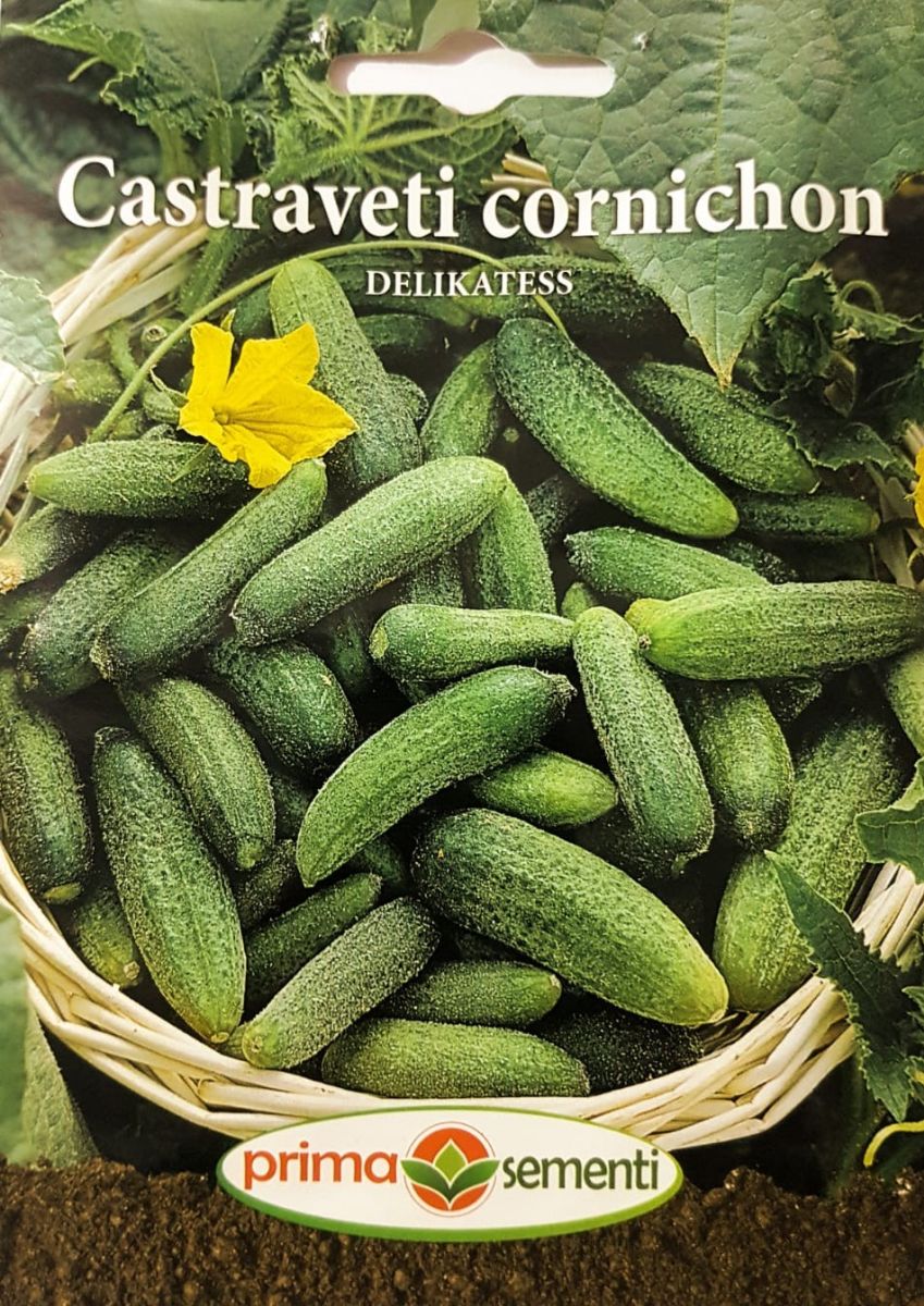 seminte-castraveti-cornichon-delikatess-prima-sementi