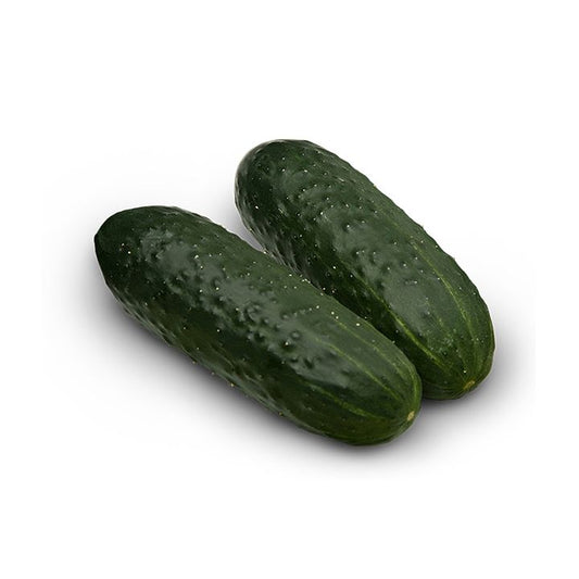 Seminte castraveti cornichon Pleasure F1 (250 seminte), Semillas Fito