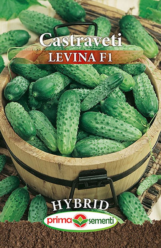 Seminte castraveti Levina F1 (10 g), Prima Sementi