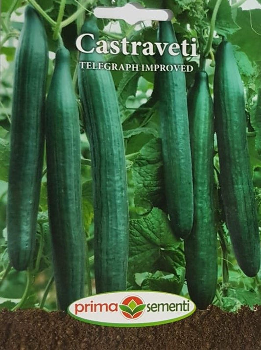 seminte-castraveti-lungi-telegraph-improved-prima-sementi