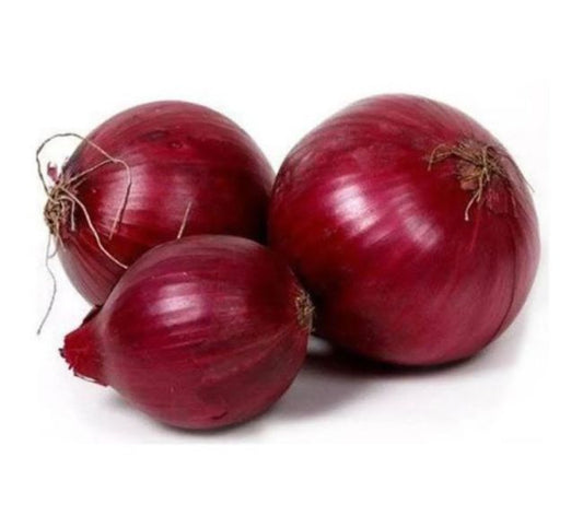 seminte-ceapa-rosie-clujana-125-000-seminte-agrosel