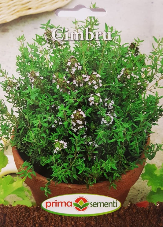 seminte-cimbru-0-6-g-prima-sementi