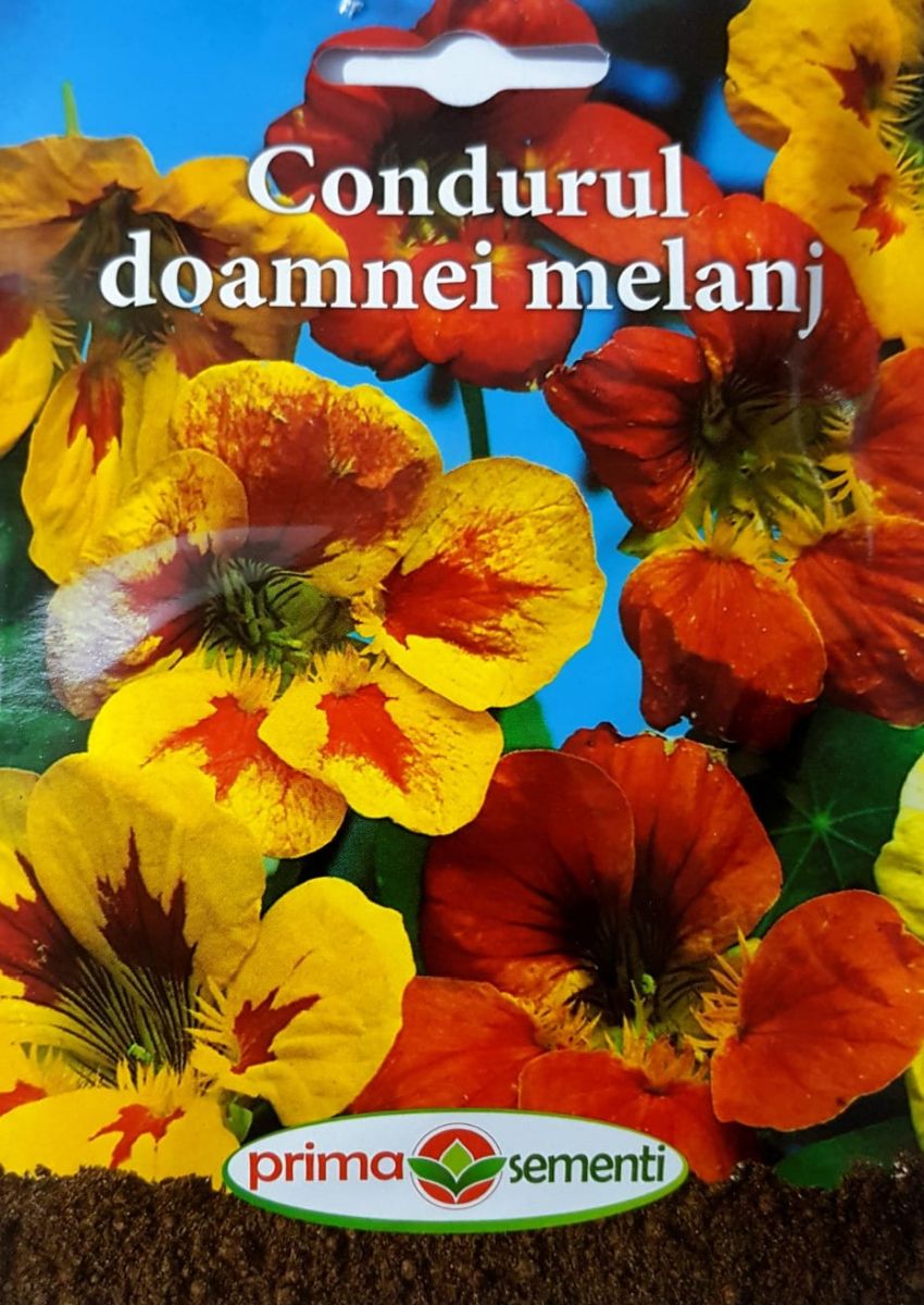 seminte-condurul-doamnei-mix-de-culori-prima-sementi