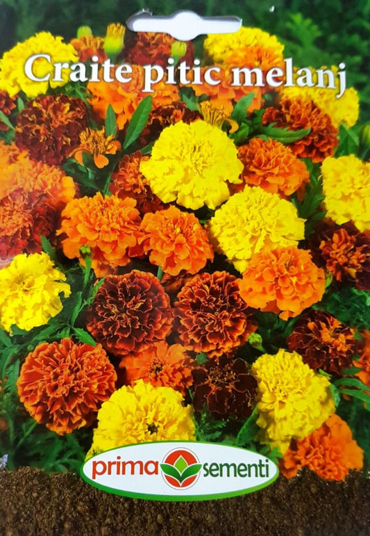 seminte-craite-pitic-mix-de-culori-prima-sementi