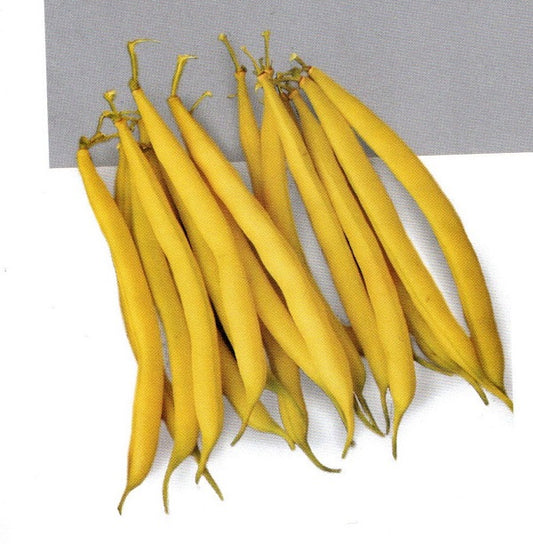 Seminte de fasole fideluta soi autohton Ileana (250 g), Agrosel