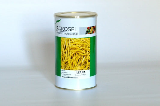 Seminte de fasole fideluta soi autohton Ileana (500 g), Agrosel