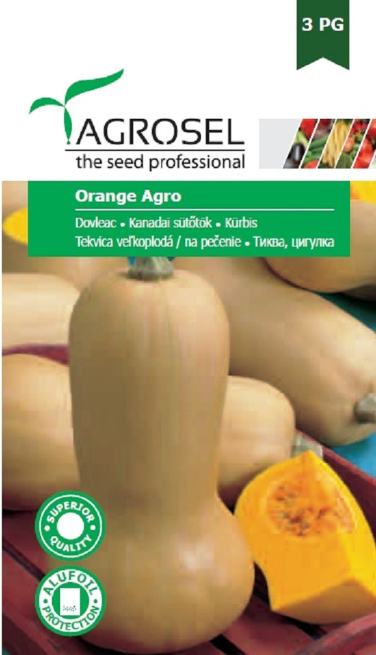 Seminte dovleac placintar soi autohton Orange Agro (1.000 seminte), Agrosel