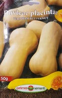 Seminte dovleac Waltham Butternut, Prima Sementi