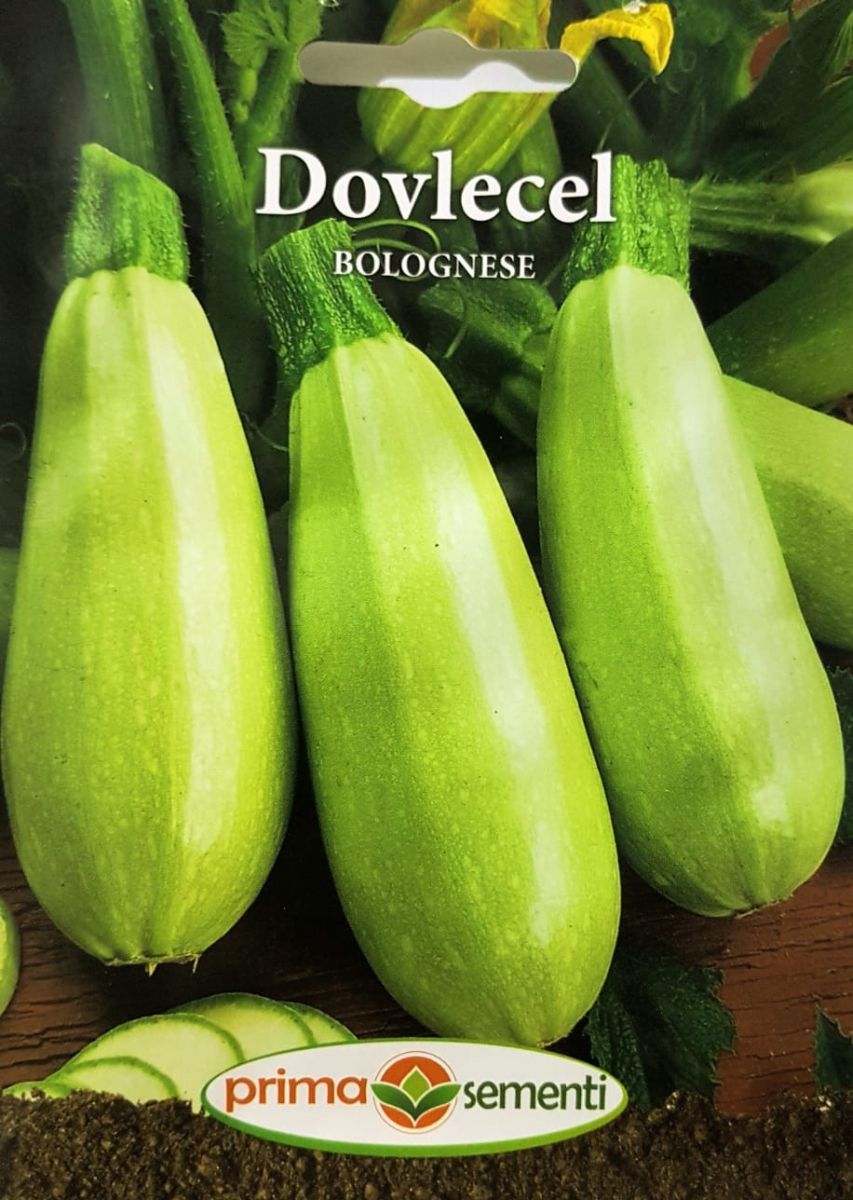 seminte-dovlecel-bolognese-prima-sementi