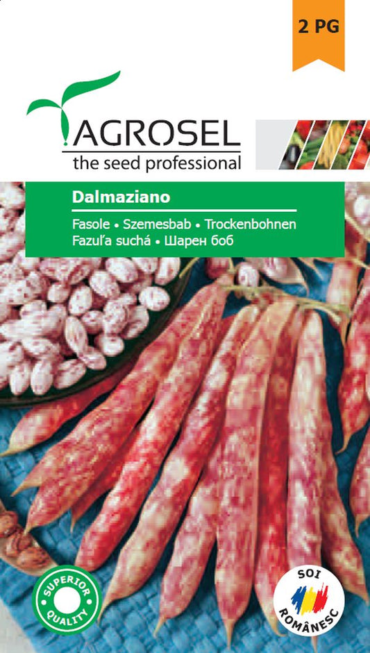 Seminte fasole boabe Dalmaziano - tip Borloto (25 kg), Agrosel