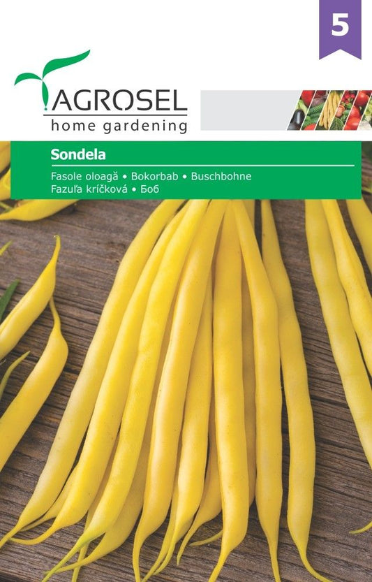 Seminte fasole fideluta galbena Sondela, Agrosel