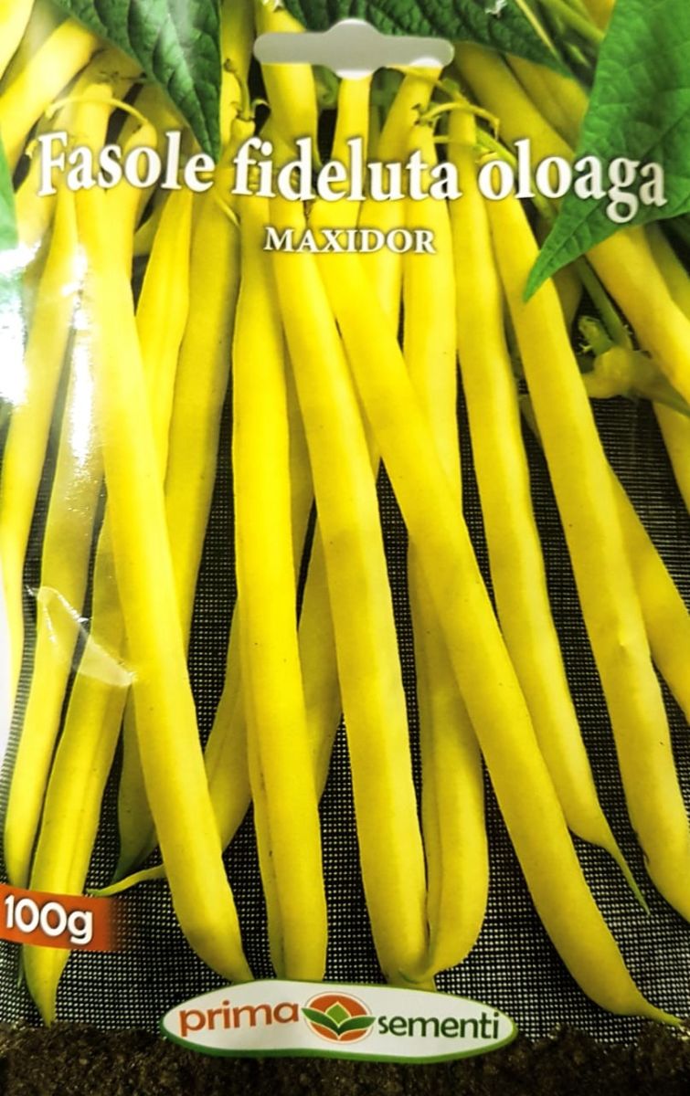 seminte-fasole-fideluta-maxidor-prima-sementi