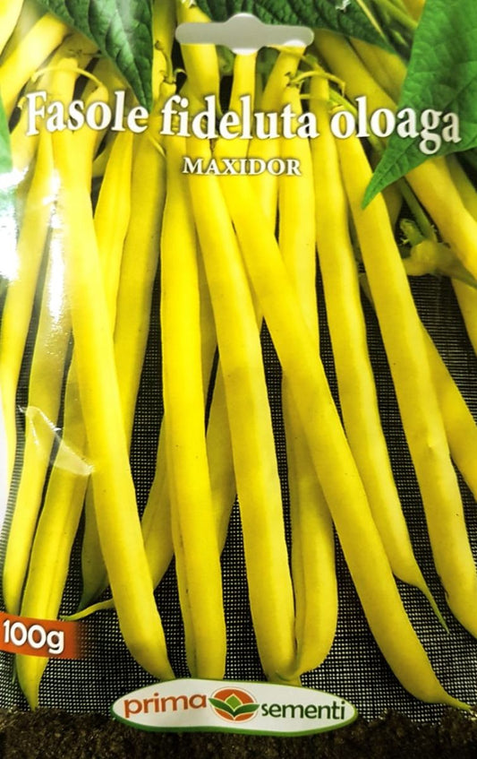 seminte-fasole-fideluta-maxidor-prima-sementi