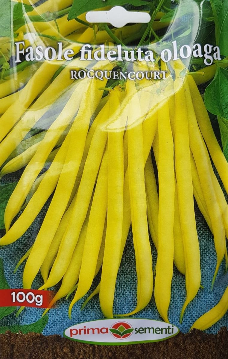 seminte-fasole-fideluta-rocquencourt-prima-sementi