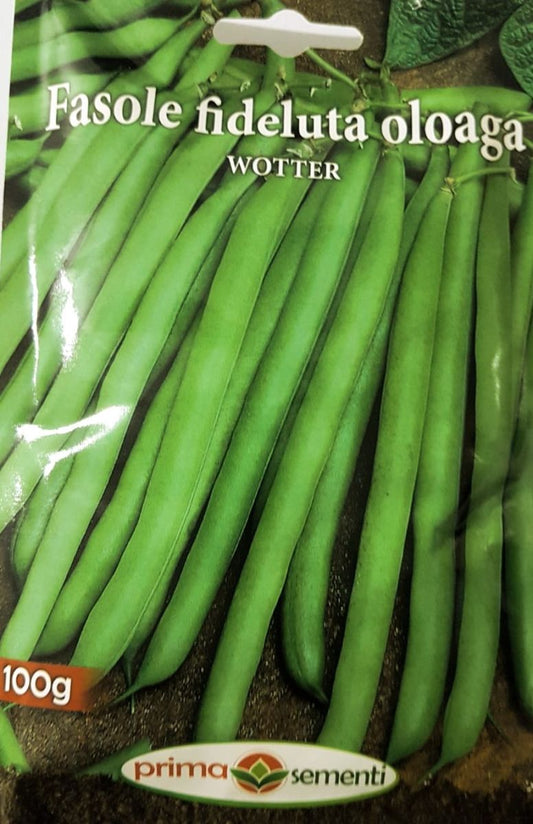 Seminte fasole fideluta Wotter, Prima Sementi