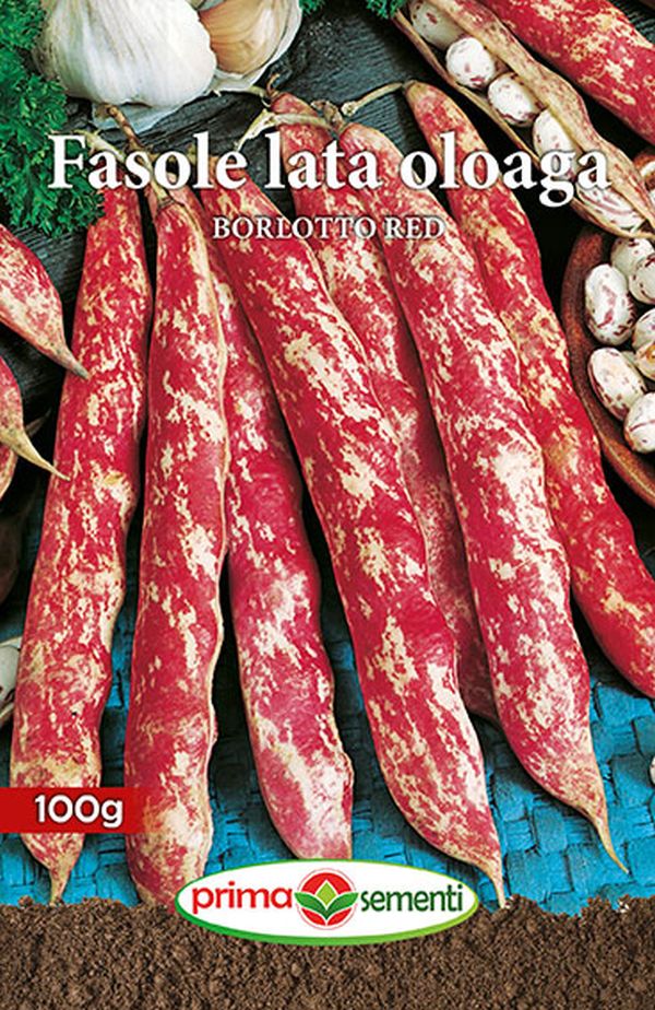 Seminte fasole oloaga Borlotto Red (100 g), Prima Sementi
