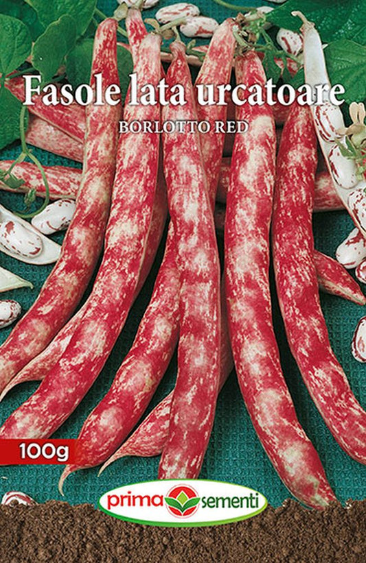 Seminte fasole urcatoare Borlotto red (100 g), Prima Sementi
