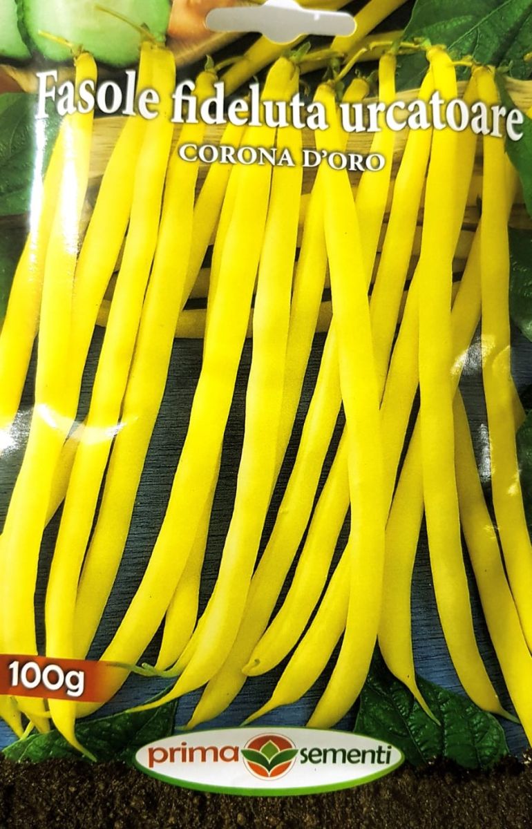 Seminte fasole urcatoare Corona D'Oro, Prima Sementi