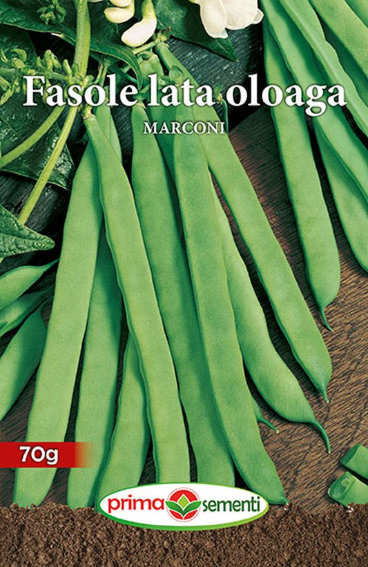 Seminte fasole urcatoare Marconi (70 g), Prima Sementi