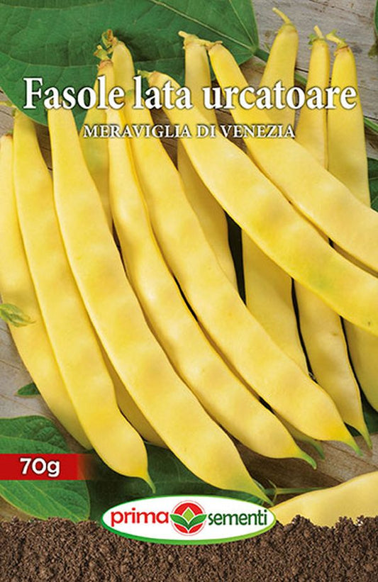 Seminte fasole urcatoare Meraviglia Di Venezia (70 g), Prima Sementi
