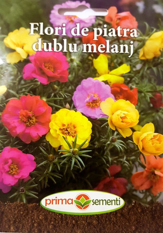 seminte-floare-de-piatra-flori-involte-mix-de-culori-prima-sementi