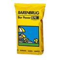 Seminte gazon Bar Power, Barenbrug