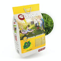 Seminte gazon Clasic (4 kg), Gazonul