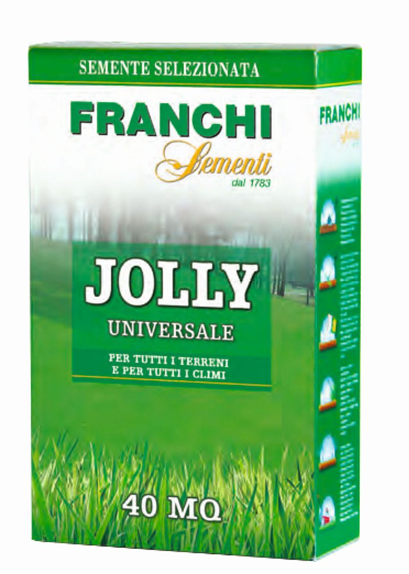 seminte-gazon-jolly-500-g-franchi-sementi