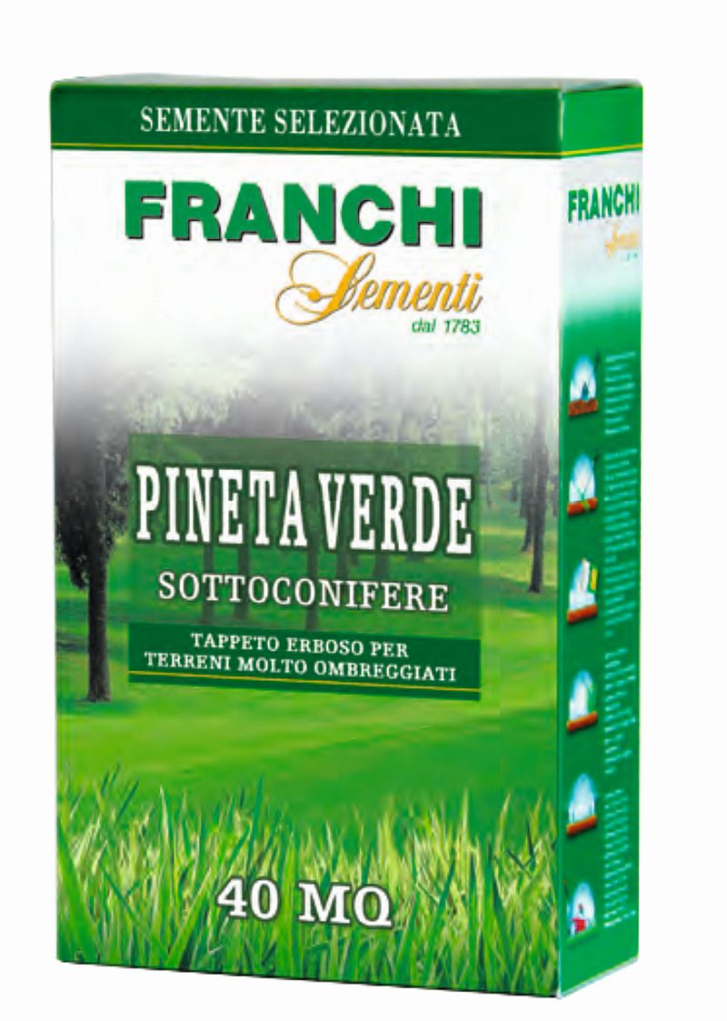 seminte-gazon-pineta-verde-1-kg-franchi-sementi
