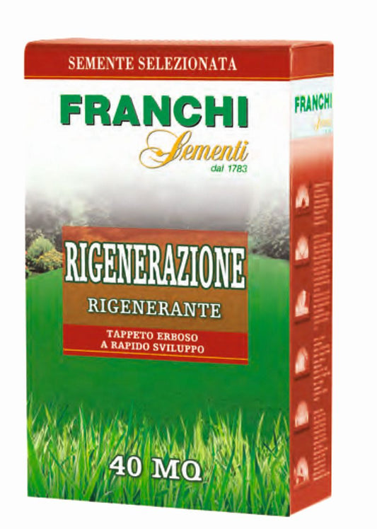 seminte-gazon-regenerare-500-g-franchi-sementi