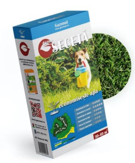 Seminte gazon Seceta (750 g), Gazonul