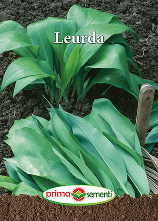 Seminte leurda (0.3 g), Prima Sementi