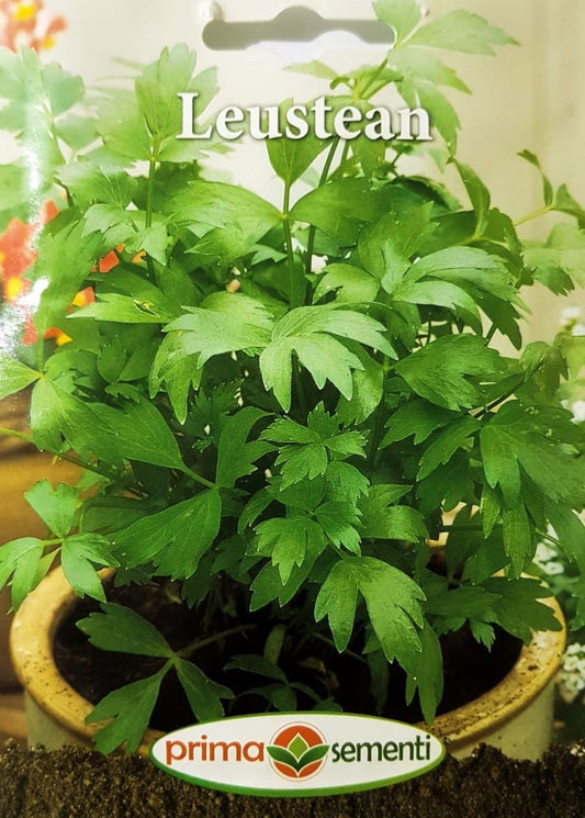 seminte-leustean-1-g-prima-sementi