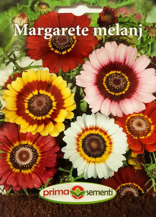 seminte-margarete-mix-de-culori-prima-sementi