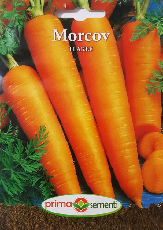 seminte-morcovi-flakee-prima-sementi